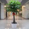 仿真植物墙供应厂家,上海仿真植物墙家,达优供