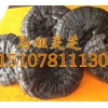 南宁供应优质的正宗野生灵芝多少钱一斤，野生黑灵芝