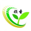 进口粮情测控-到哪购买品质好的安徽知名粮库智能系统