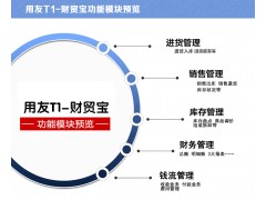 用友T1财贸宝图2