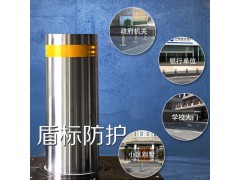 升降柱-升降柱厂家-升降柱价格-盾标防护图2