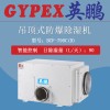 绵阳防爆除湿机BCF-790CD英鹏防爆除湿机厂家