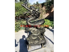 　玻璃钢龙，玻璃钢动物雕塑图2