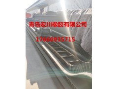供应大倾角挡边皮带环形波状挡边带定做图3
