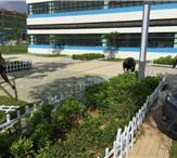 pvc草坪围栏1