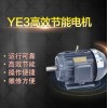 YE3电机,YE3高效电机,YE3系列三相异步电动机