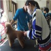 北京市厂家直销北京宠物学校多种规格型号