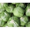 广州蔬菜配送公司要上哪买比较好增城蔬菜配送公司