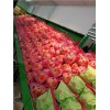 果唯伊果唯伊加盟水果店排行果唯伊供