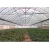 连栋温室大棚_山东质量好的温室大棚