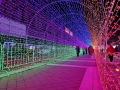 广东广州灯光展团队承接亮化工程梦幻灯光展活动策划厂家直销图2