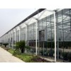 玻璃温室价格范围，高质量的玻璃温室推荐