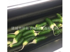 毛辊清洗去皮机土豆萝卜姜去皮去泥机果蔬清洗机图2