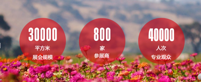 QQ截图20181025135551