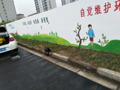 上海艺术墙体彩绘，工地，开发商墙体广告图2