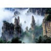 张家界导游推荐_专业的张家界结伴游当选诚晨管家旅游服务有限公