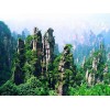 张家界自助游合适吗|资深的湖南张家界小包团纯玩品质游公司