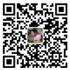 广东中港物流公司-中港运输
