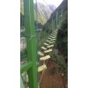 树上丛林穿越哪家好