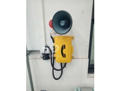 厂内扩音对讲系统，防水防尘电话机，扩音抗噪带广播功能图2