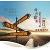 专业可靠的网站建设哪里有提供，坪山网站订做