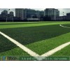 草坪足球场铺设-要买热门人造草坪足球场，当选秦岸环保科技