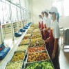 哪里提供好的欣万餐饮服务，品类多食材配送电话