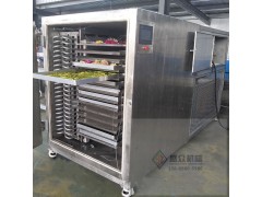 小型果蔬真空冻干机  真空冻干机生产厂家图2