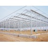 阳光板玻璃温室建造-哪里有提供好用的温室大棚