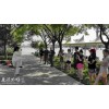 太极拳培训-北京哪里有高水平的太极拳培训