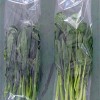 丰台蔬菜配送北京市周到的蔬之鲜蔬菜配送