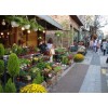在县城开一家花店利润高吗-郑州花店策划公司哪家口碑好