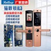 厂家直销智能门锁视频云锁iL3