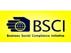 淮安宿迁家具工艺品工厂如何通过BSCI验厂图2