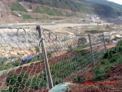 边坡环形网被动防护网RXI系列防护网钢柱防护网厂家直销图2