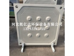 热销景津各种压滤机滤板污水处理滤板食品行业滤板图2