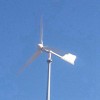 供应2000w风力发电机家用全套2kw小型风力发电机免维护