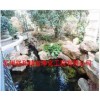 苏州祥和精创净化工程供应不错的鱼池水处理过滤净化_浙江鱼池水