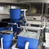 循环水养殖设备厂家丨循环水处理系统丨循环水养鱼