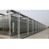 吉林草莓温室建造-育苗温室建造费用