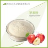 苹果果粉厂家直供速溶粉营养丰富固体饮料苹果粉