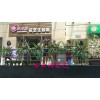 花艺培训价位_花艺培训哪里好
