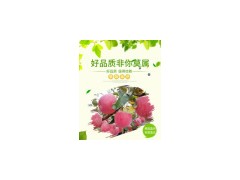 陕西红富果价格，纸夹膜红富士苹果价格，水晶红富士苹果价格图2