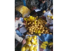陕西黄桃批发价格，西瑞黄桃，黄金蜜毛桃，黄金蜜毛桃产地图2