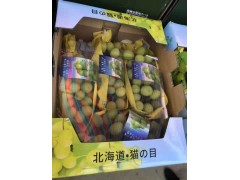 夏黑葡萄价格，陕西夏黑葡萄基地，夏黑葡萄产地合作社。图2