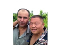 陕西京欣西瓜价格，金城二号西瓜，花皮金华王西瓜，大荔西瓜产地图2