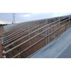 日光温室搭建商-可信赖的日光温室建造推荐