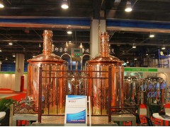 300L自酿啤酒设备图2