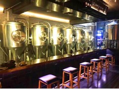 500L啤酒设备图2