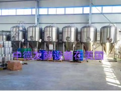 小型啤酒厂设备图3